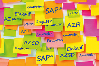 SAP®ERP - Online-Seminare DAA Koblenz